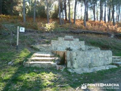 El Castañar de El Tiemblo , Un bosque mágico;rutas para andar por madrid